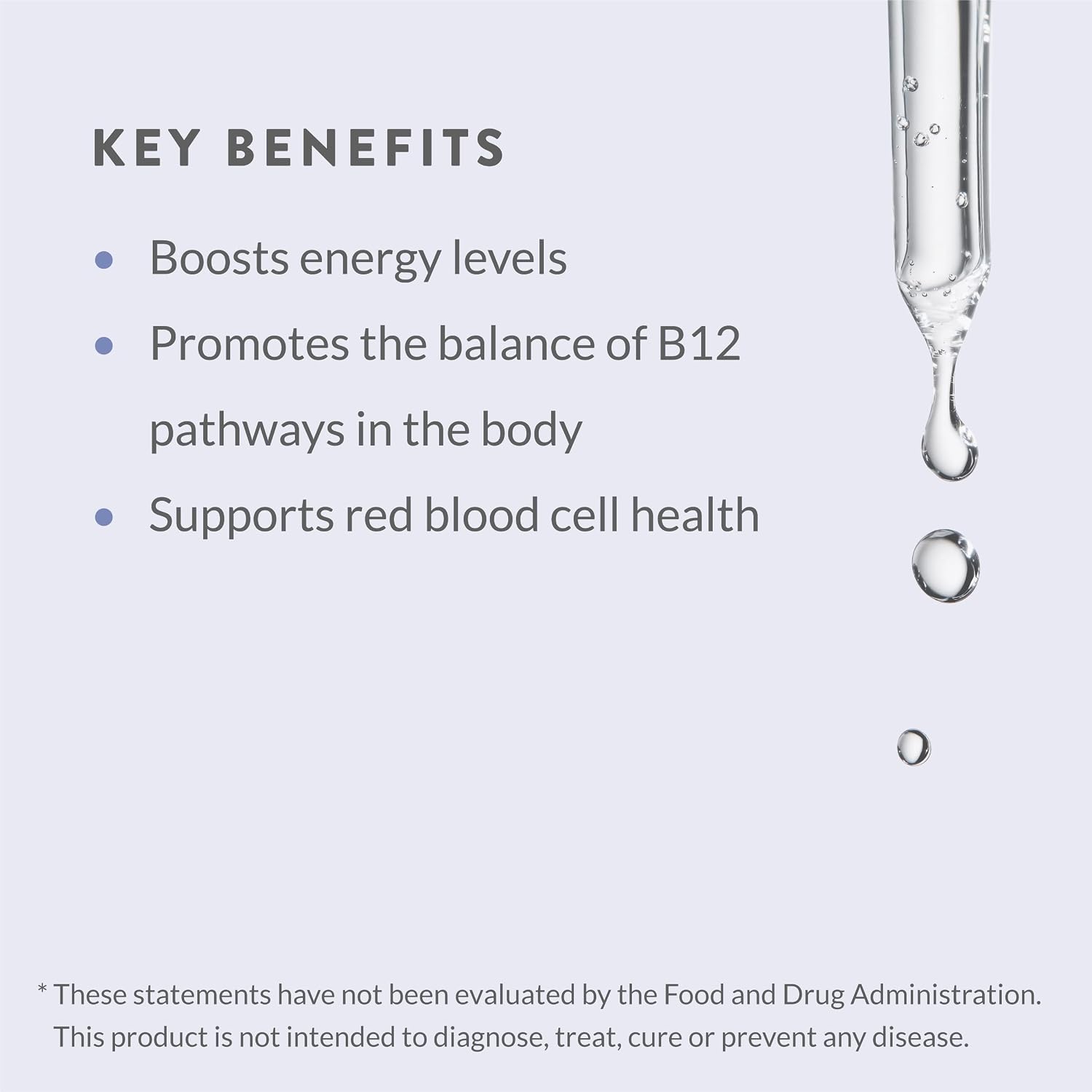 Holistic Health Adenosyl B12 MegaDrops 28 ml