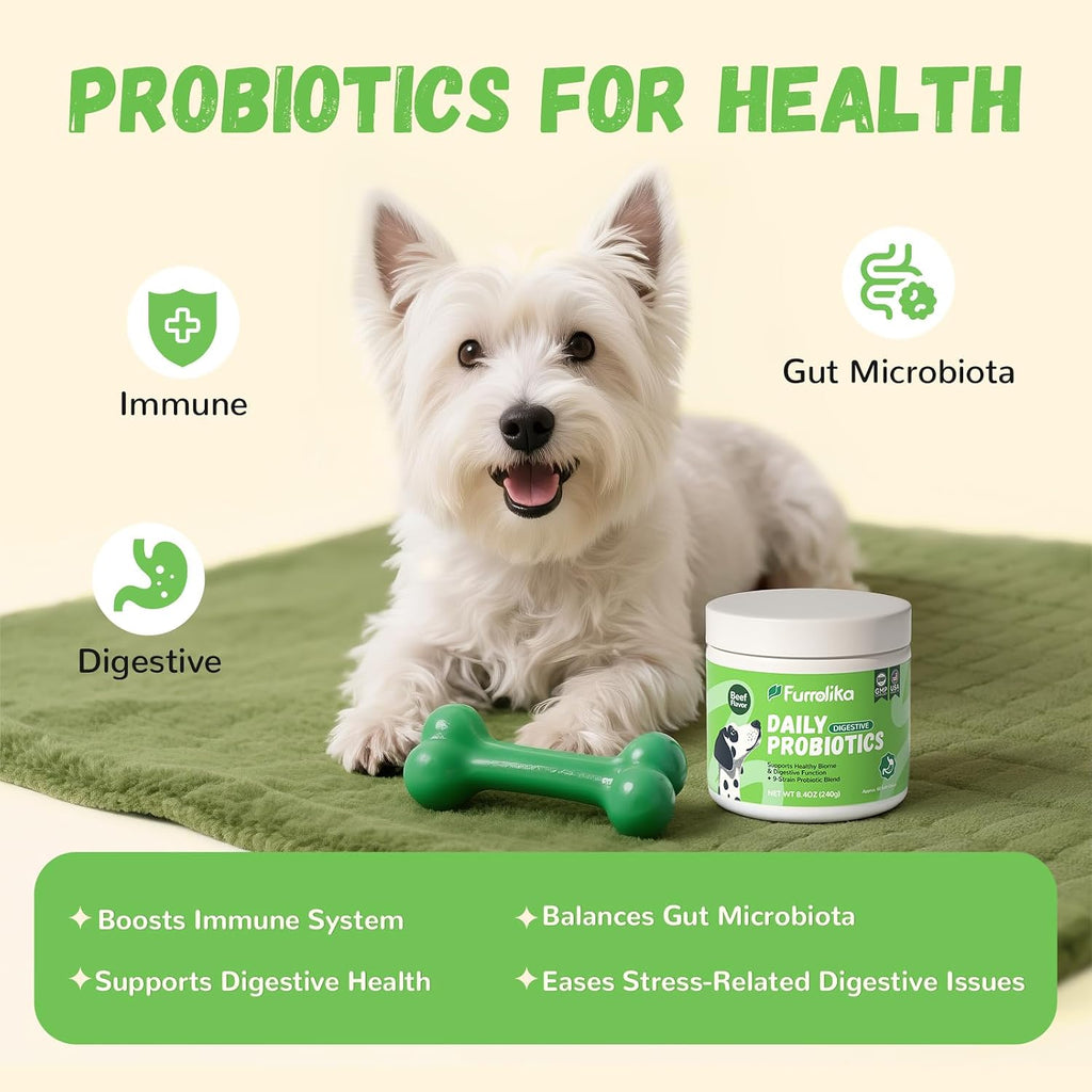 60 Count Probiotics Soft Chews – Made in The USA – Supplements for Gut Health, Digestive Support, Immune Support & Diarrhea Relief – Beef Flavor Dog Probiotic