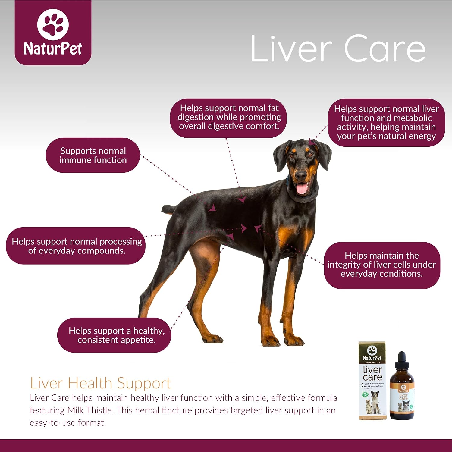 Arrowleaf Pet Liver Care para Perros y Gatos | Tintura Herbal de Cardo Mariano | 100 mL