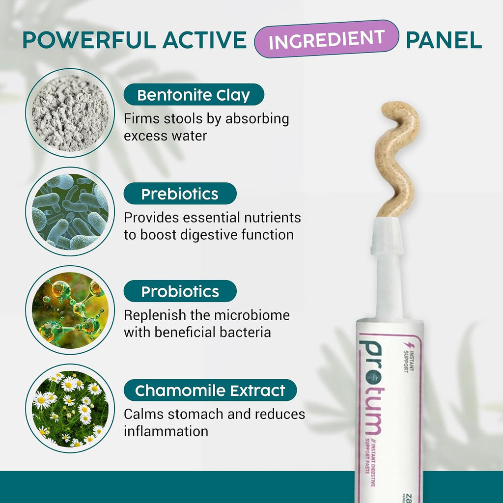 Protum Probiotic Paste para Perros - 30ml Fórmula Avanzada Prebiótica para el Soporte Digestivo - Sabor Atractivo para la Salud Intestinal Canina