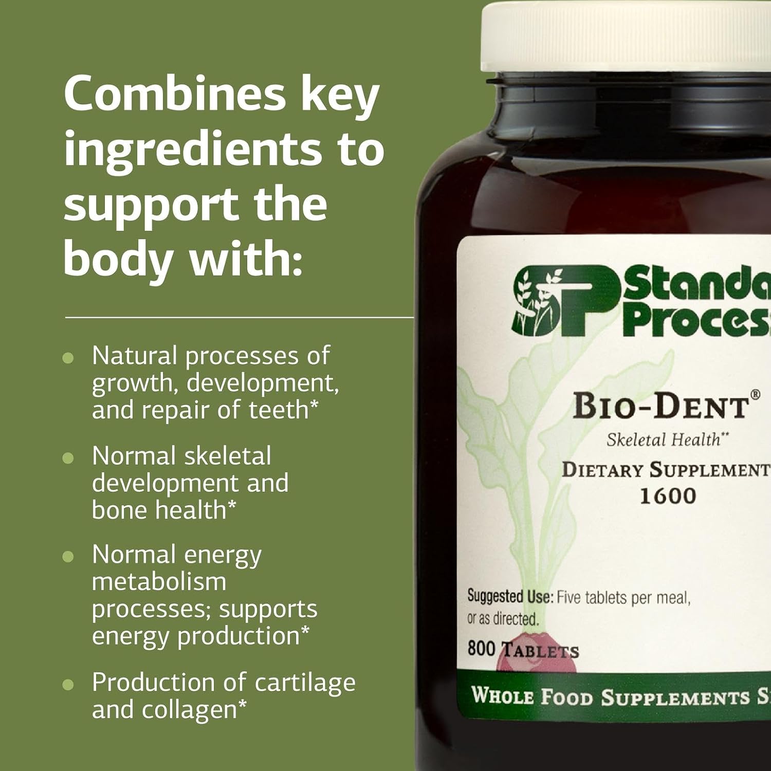 Standard Process Bio-Dent - Suplemento para la Salud Ósea y Dental - 800 Comprimidos