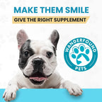 Wanderfound Pets 10-en-1 Multivitamínico para Perros con Glucosamina, D3 y MSM, Sabor Hígado, 60 Comprimidos