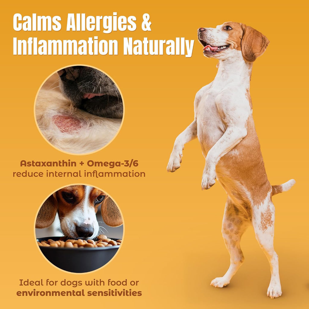 Lifeline Wild Anchovy + Borage Oil for Dogs – 770 ml
