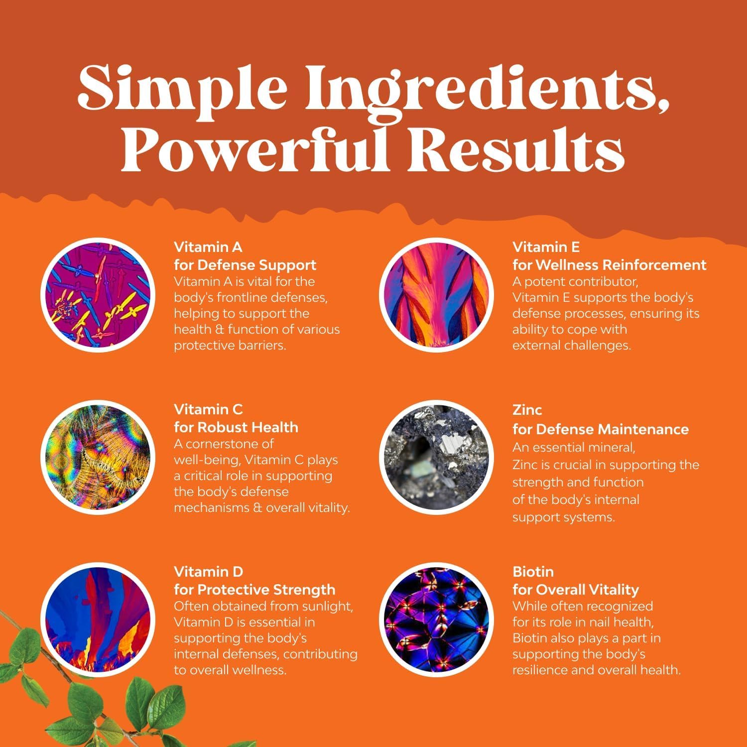 Potent Daily Multivitamin Gummies for Adults - Gominolas Multivitamínicas para Adultos - Natures Craft - 180 Gominolas