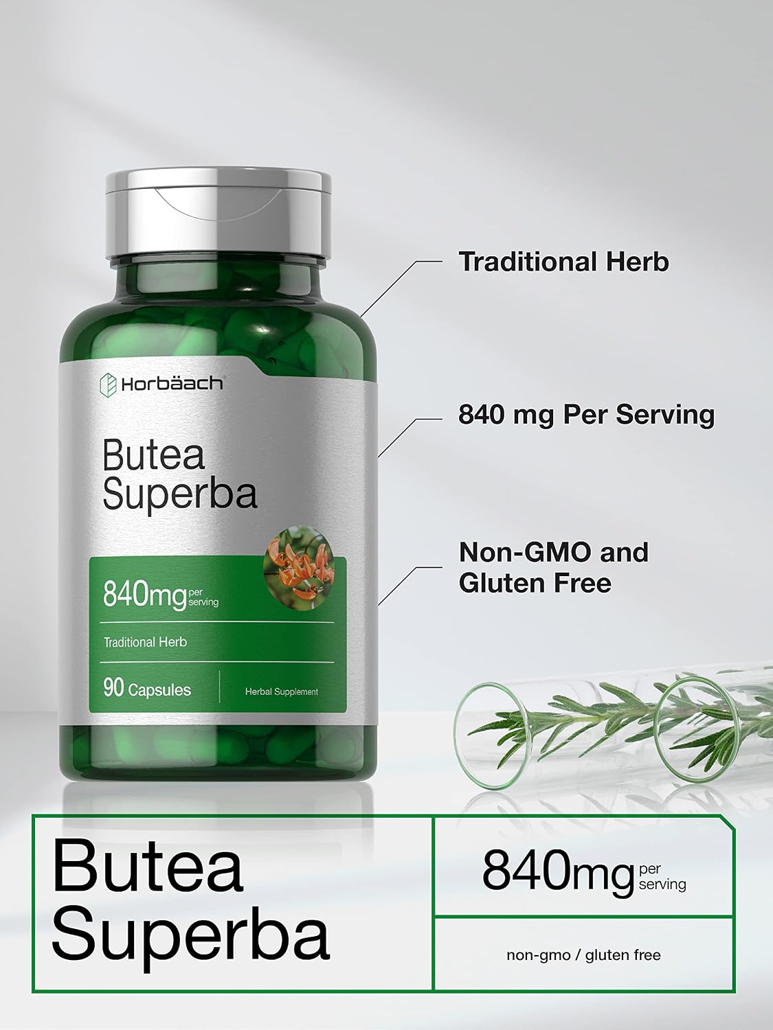 Horbäach Butea Superba Raíz 840mg | 90 Cápsulas | Rendimiento Masculino | No GMO y Sin Gluten