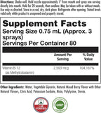 KAL Vitamina B12 Metilcobalamina ActivSpray 2500 mcg, Spray de Vitamina B12, Sabor Natural a Bayas, 80 Servicios, 60 ml
