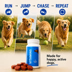 Drools Absolute Vitamin Tablet - Suplemento Multivitamínico para Perros, 110 Comprimidos