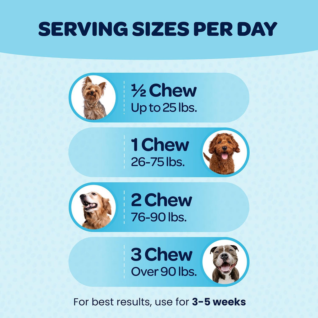 Ready Pet Go! 12-in-1 Multivitamínico Masticable para Perros con Glucosamina, Condroitina y Probióticos - 90 Masticables