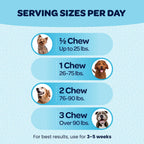 Ready Pet Go! 12-in-1 Multivitamínico Masticable para Perros con Glucosamina, Condroitina y Probióticos - 90 Masticables