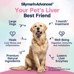 SilymarinAdvanced Suplemento Hepático para Perros Grandes - Cardo Mariano con SAMe y Silibina - 30 Comprimidos