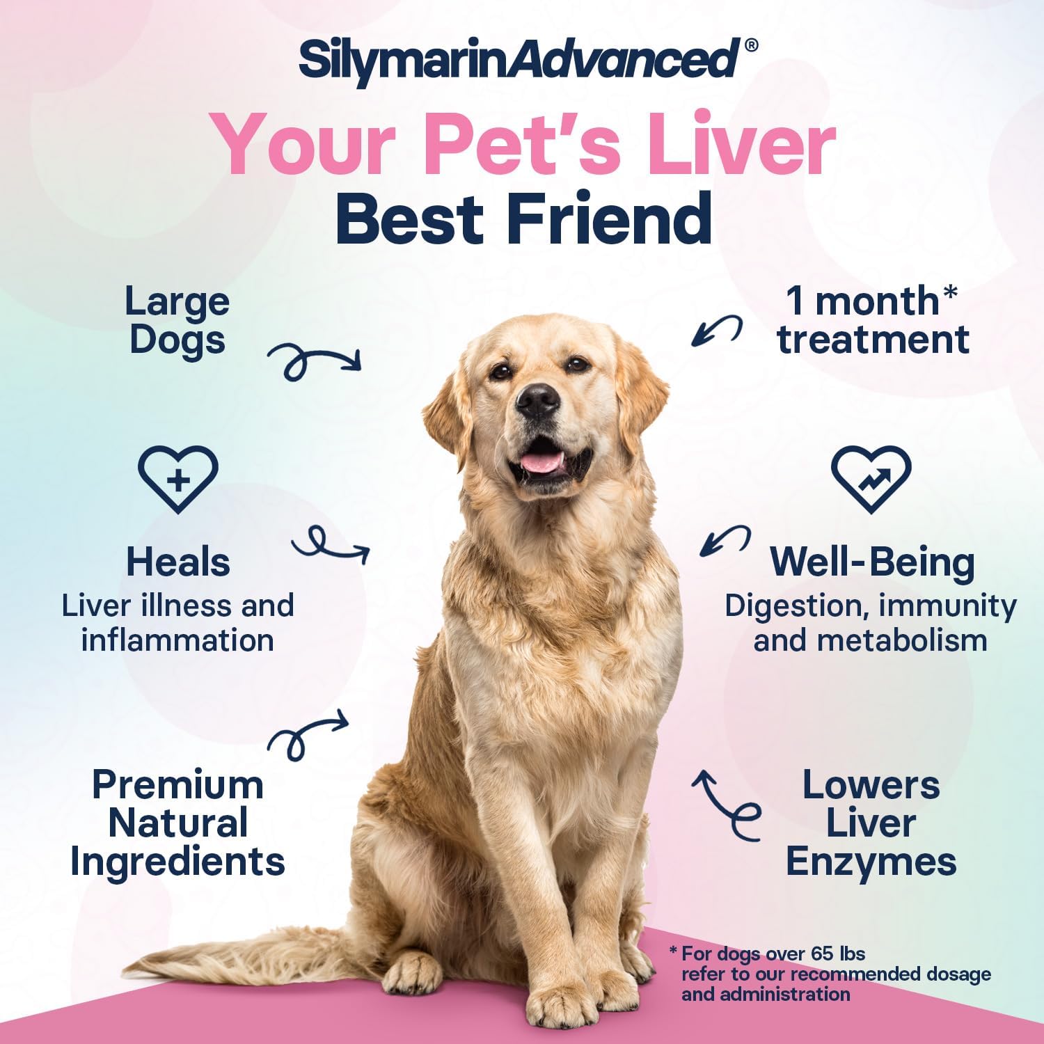 SilymarinAdvanced Suplemento Hepático para Perros Grandes - Cardo Mariano con SAMe y Silibina - 30 Comprimidos