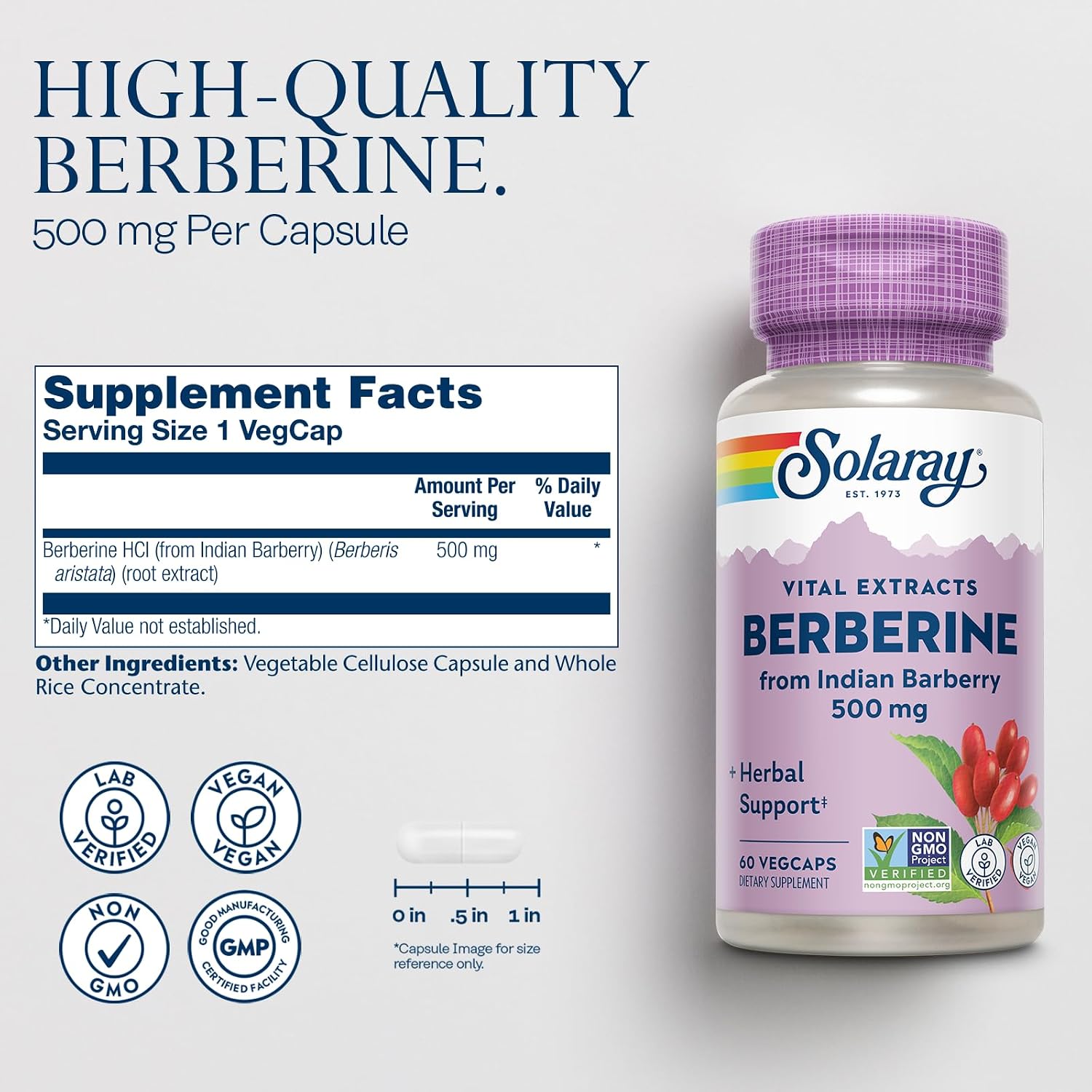 SOLARAY Berberina 500mg - Suplemento Vegano con Berberina HCL de Agracejo Indio - 60 Cápsulas