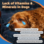 ZEBORA Polvo Multivitamínico para Perros - Glucosamina, Probióticos, Omega 3
