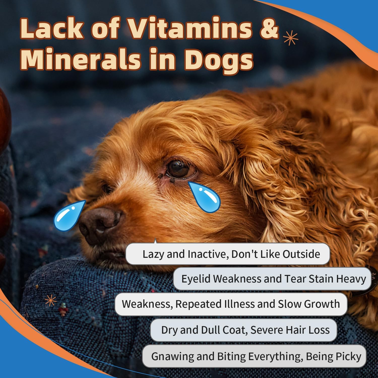 ZEBORA Polvo Multivitamínico para Perros - Glucosamina, Probióticos, Omega 3
