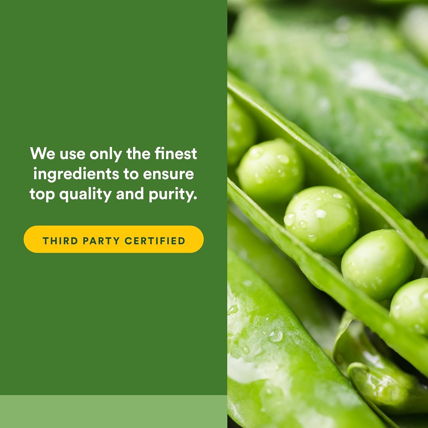 Whole Earth & Sea de Natural Factors, Verduras Fermentadas Orgánicas - Suplemento Vegano en Polvo, Sabor Tropical, 406 g