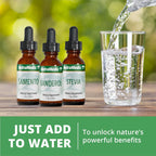 NutraMedix Suplemento de Perejil - Extracto Líquido de Hojas y Tallos - 30 ml