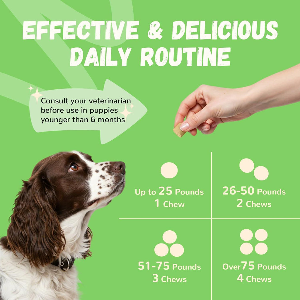 60 Count Probiotics Soft Chews – Made in The USA – Supplements for Gut Health, Digestive Support, Immune Support & Diarrhea Relief – Beef Flavor Dog Probiotic