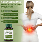 Kidney Sure - Tónico Renal Orgánico - Apoyo Herbal para la Salud Renal y el Tracto Urinario - Formulado por Médico de MTC - 400mg 100 Cápsulas