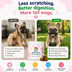 HealthyTreatz Probióticos para Perros – 2 Mil Millones UFC, 6 Cepas con Enzimas Digestivas – Masticables Blandos, 120 uds
