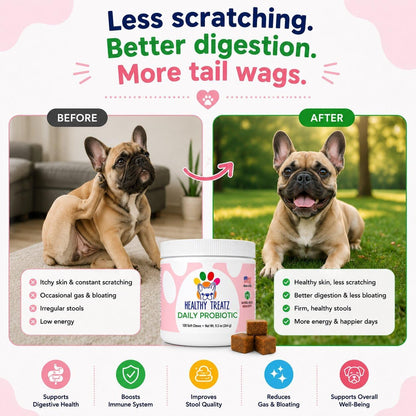 HealthyTreatz Probióticos para Perros – 2 – Número de UFC: Una dosis eficaz suele oscilar entre 1 y 10 mil – Image 5