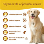 Vitaminas prenatales para perras embarazadas y lactantes - Apoya el embarazo saludable, el crecimiento de los cachorros y la lactancia - con ácido fólico, hierro y calcio - 120 masticables suaves