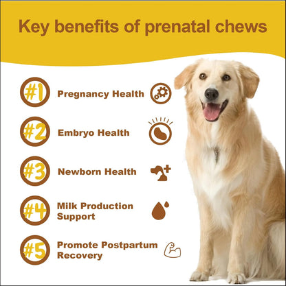 Vitaminas prenatales para perras embarazadas – Vitamina C y E: antioxidantes que refuerzan el sistema inmunitario – Image 5