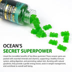 LTQXGT Gominolas de Sea Moss, Bladderwrack, Ashwagandha y Burdock Root - 60 Gominolas Veganas