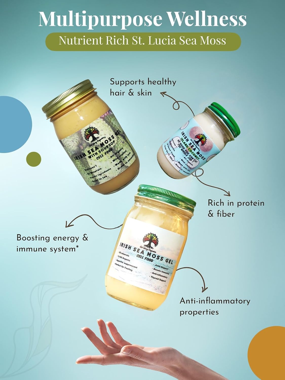 Gel de Musgo de Mar Irlandés Silvestre de GET WAVY ORGANICS – Vegano, No OGM, Sin Gluten (Pack de 1)