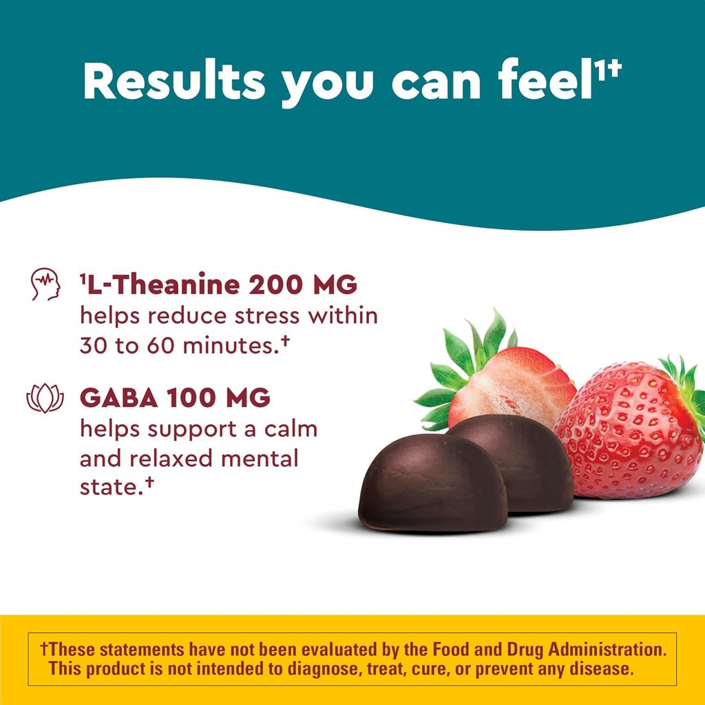Nature Made Wellblends Stress Relief Gummies, L-teanina 200 mg y GABA 100 mg, 40 gomitas sabor fresa