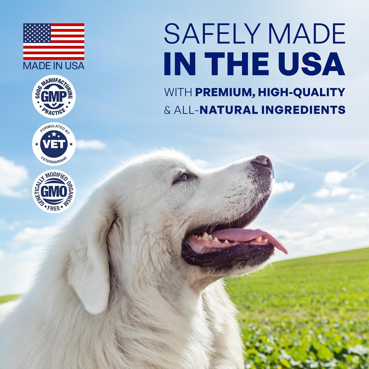 Reviact Complemento para Piel y Pelaje para Perros - Masticables de Aceite de Pescado Omega 3 con DHA, EPA y Biotina, 60 Unidades