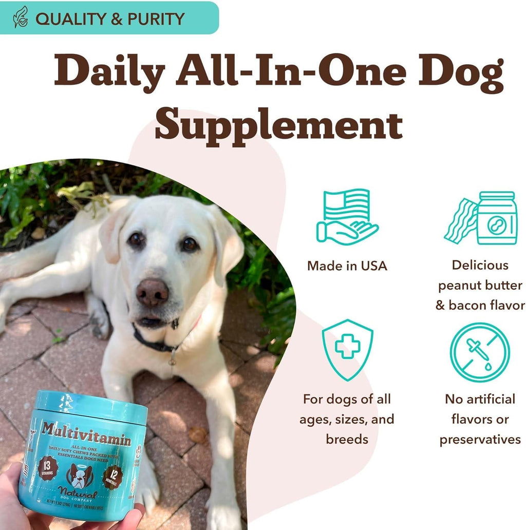 Natural Dog Company 25-in-1 Multivitamin for Dogs – Golosinas blandas formuladas por veterinarios para cachorros, adultos y seniors, 90 unidades