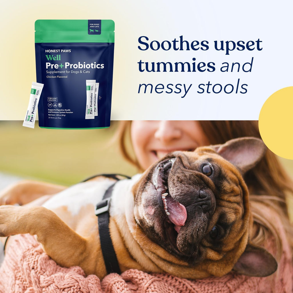 Honest Paws Probióticos para perros - Apoyo digestivo e inmunitario con prebiótico, 30 sticks