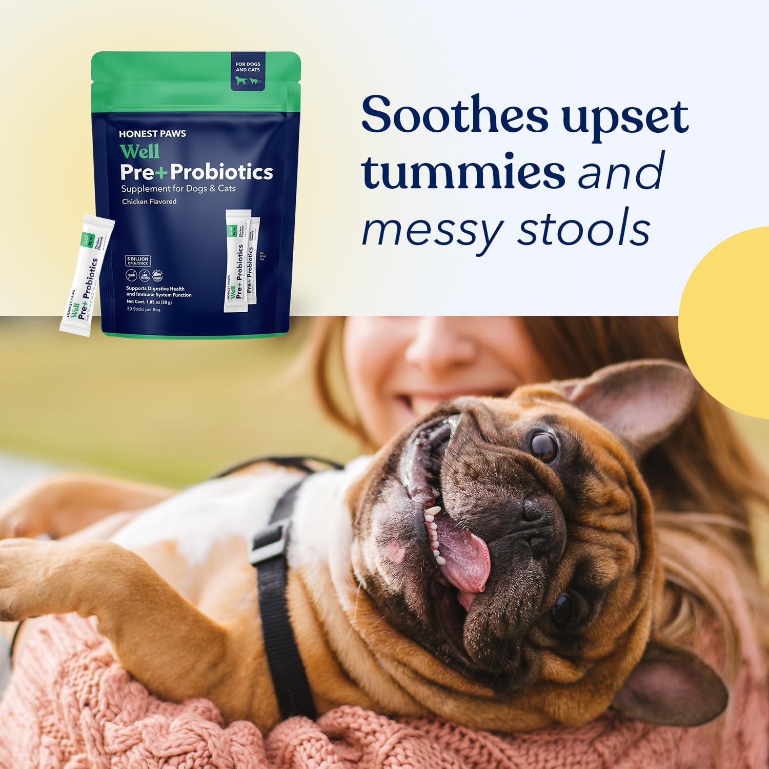 Honest Paws Probióticos para perros - Apoyo digestivo e inmunitario con prebiótico, 30 sticks