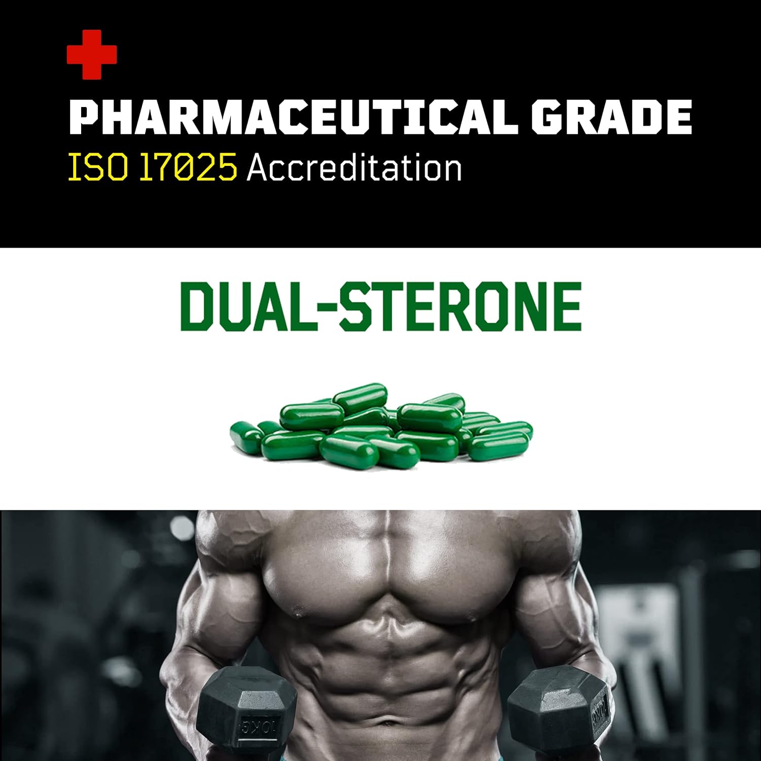 Turkesterone + Ecdysterone | Suplemento Anabólico (180 Cápsulas - 3 Meses) | Pureza 98%-95% | Certificación ISO 17025