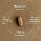 New Chapter Vitaminas Prenatales, Una al Día con Metilfolato y Colina, 90 Comprimidos