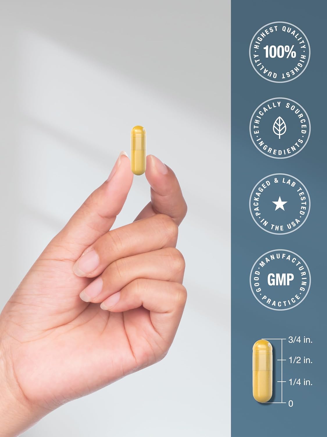 Horbäach Suplemento de Bilis de Buey | 1000mg | 100 Cápsulas | Digestivo Enzimático | No-GMO y Sin Gluten