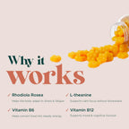 MAKE TIME Rhodiola Gummies para Mujeres - Apoyo Cerebral y Estrés - 30 Gomitas Sin Azúcar