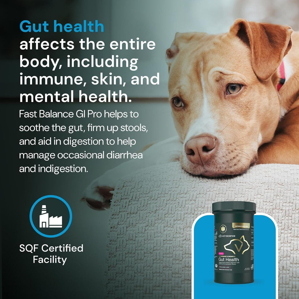 VetriScience Veterinary Strength Gut Health Powder - Probiótico para Mascotas - 60 Dosis