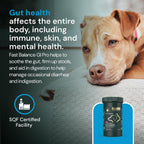 VetriScience Veterinary Strength Gut Health Powder - Probiótico para Mascotas - 60 Dosis