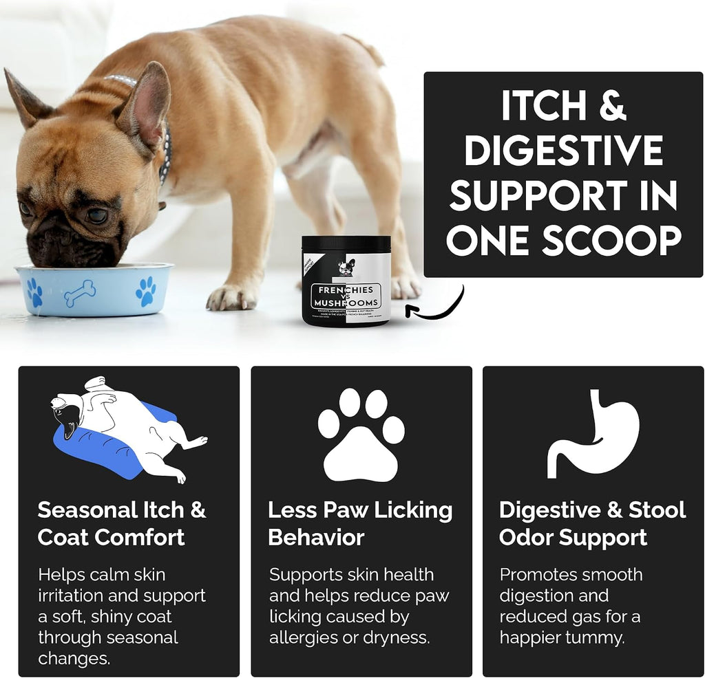Frenchies vs Mushrooms - Turkey Tail Mushroom for Dogs, Omega-3 & Turmeric | Immune support Mushroom Supplement For Dogs. Helps with digestion, allergies, longevity, lumps & bumps. Frenchie optimized.