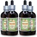 Nirgundi (Vitex Negundo) Extracto Líquido Sin Alcohol - HerbalTerra 4x120 ml