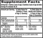 Schiff Sustenex Probiotic Gummies Assorted Fruit Flavor - 60 Gummies