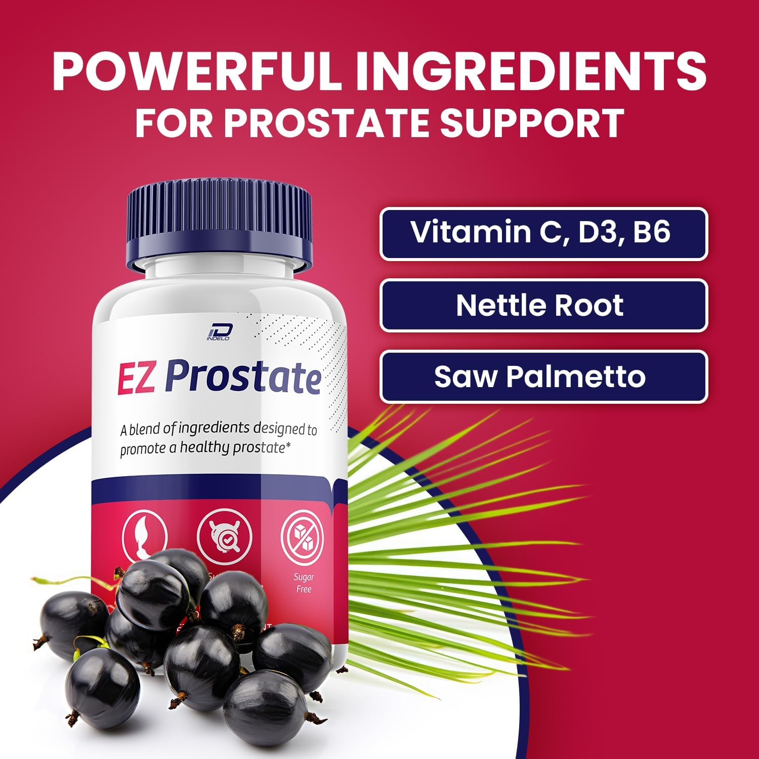 EZ Prostate – Suplemento Avanzado para la Próstata (5 Pack, 300 Cápsulas)