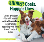 Azestfor Polvo de Mejillón de Labio Verde Antiinflamatorio para Perros