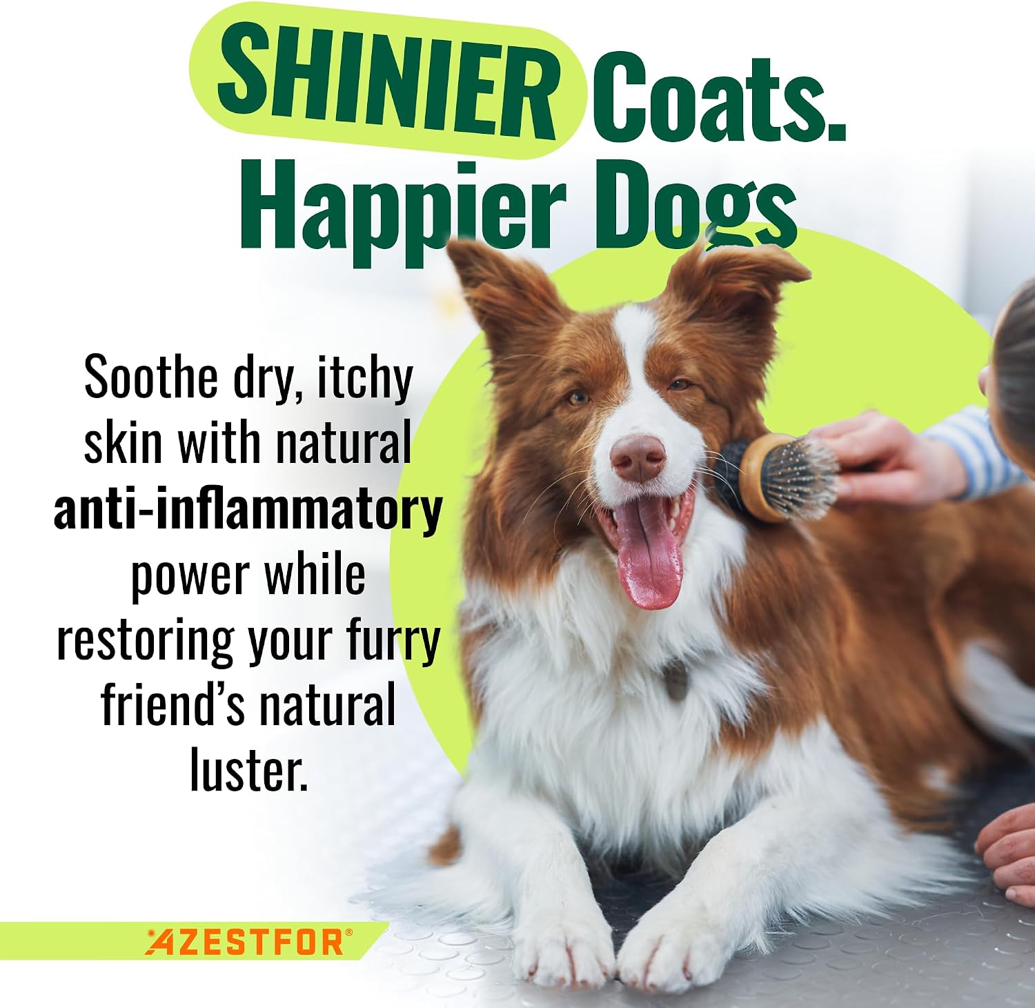 Azestfor Polvo de Mejillón de Labio Verde Antiinflamatorio para Perros