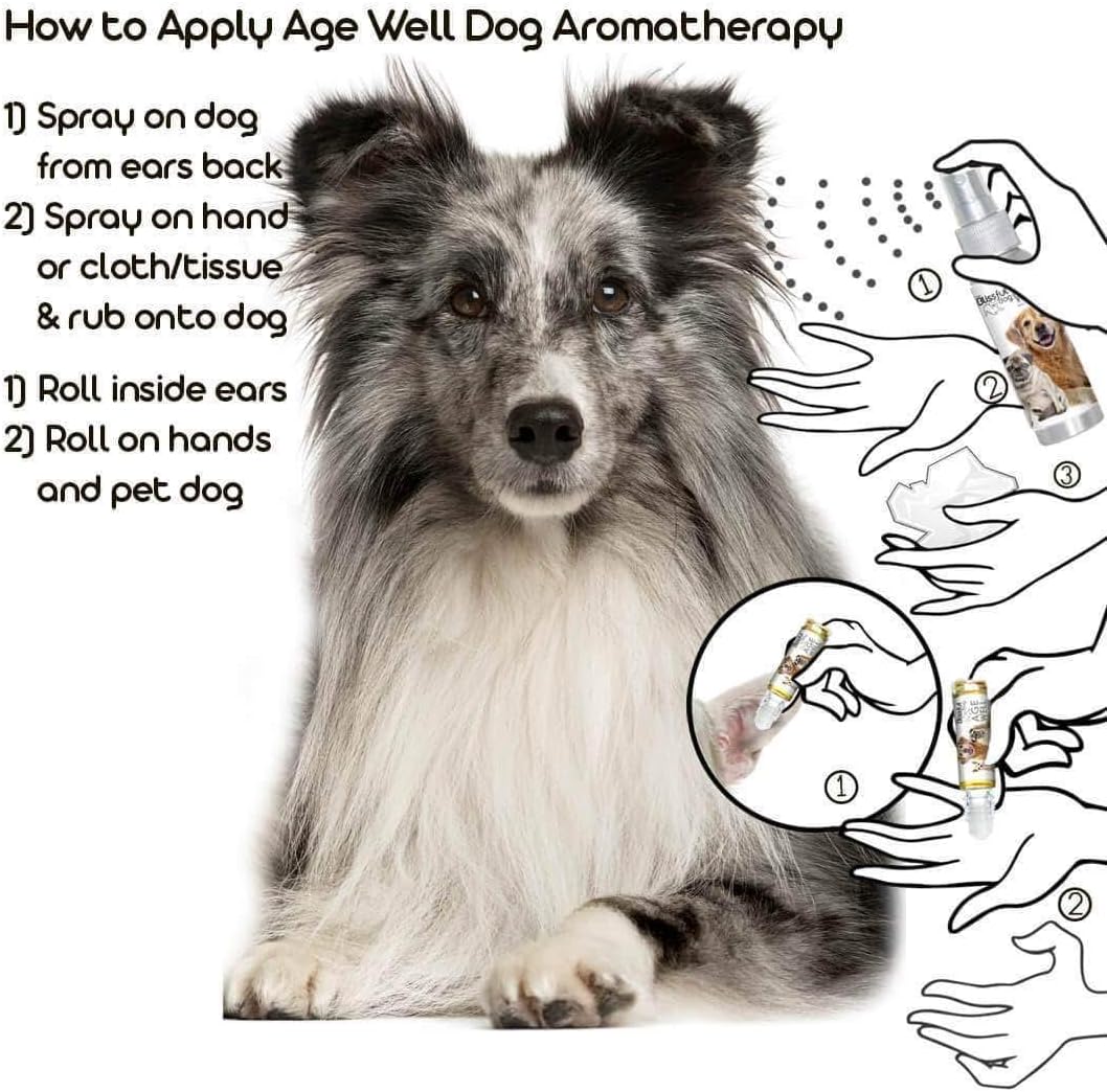 The Blissful Dog Shetland Sheepdog Age Well Spray de Aromaterapia