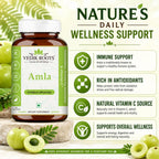 VEDIKROOTS Cápsulas de Amla 100% Orgánicas - Fuente Natural de Vitamina C - Complemento Alimenticio Herbal (60 Cápsulas, Pack de 2)