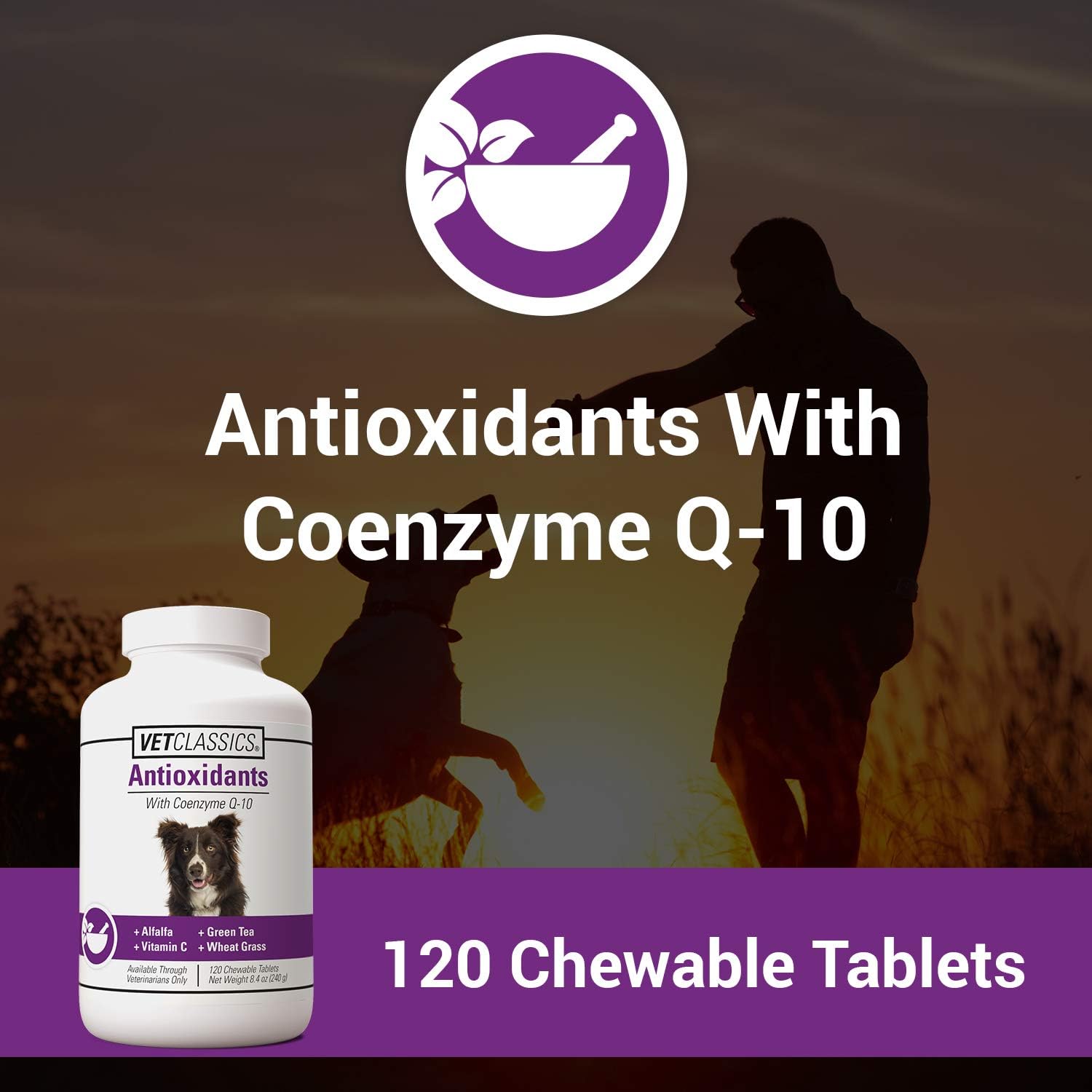 Vet Classics Coenzyme Q-10 Antioxidant for Dogs - 120 Chewable Tablets