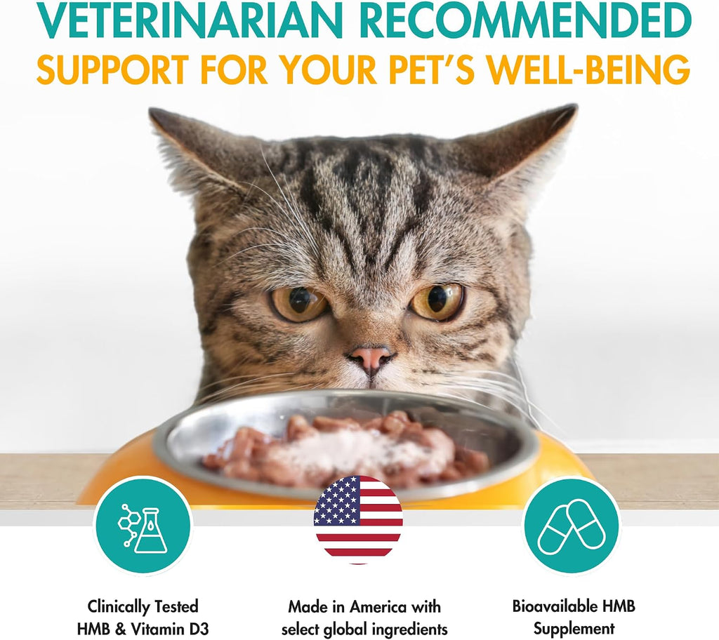 AminAmend Suplemento Muscular para Perros y Gatos Pequeños con CaHMB y Vitamina D3 - 30 Cápsulas