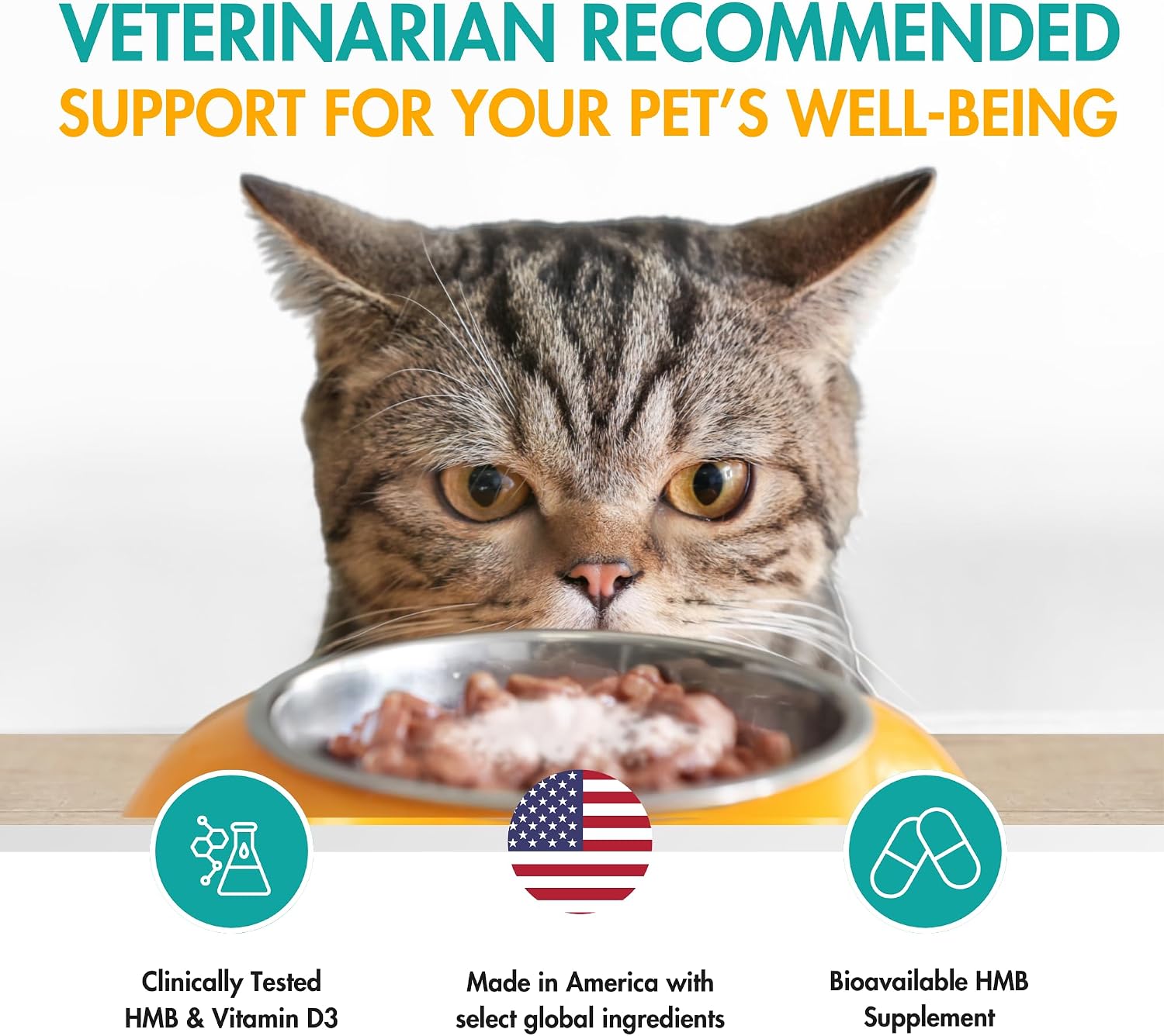 AminAmend Suplemento Muscular para Perros y Gatos Pequeños con CaHMB y Vitamina D3 - 30 Cápsulas